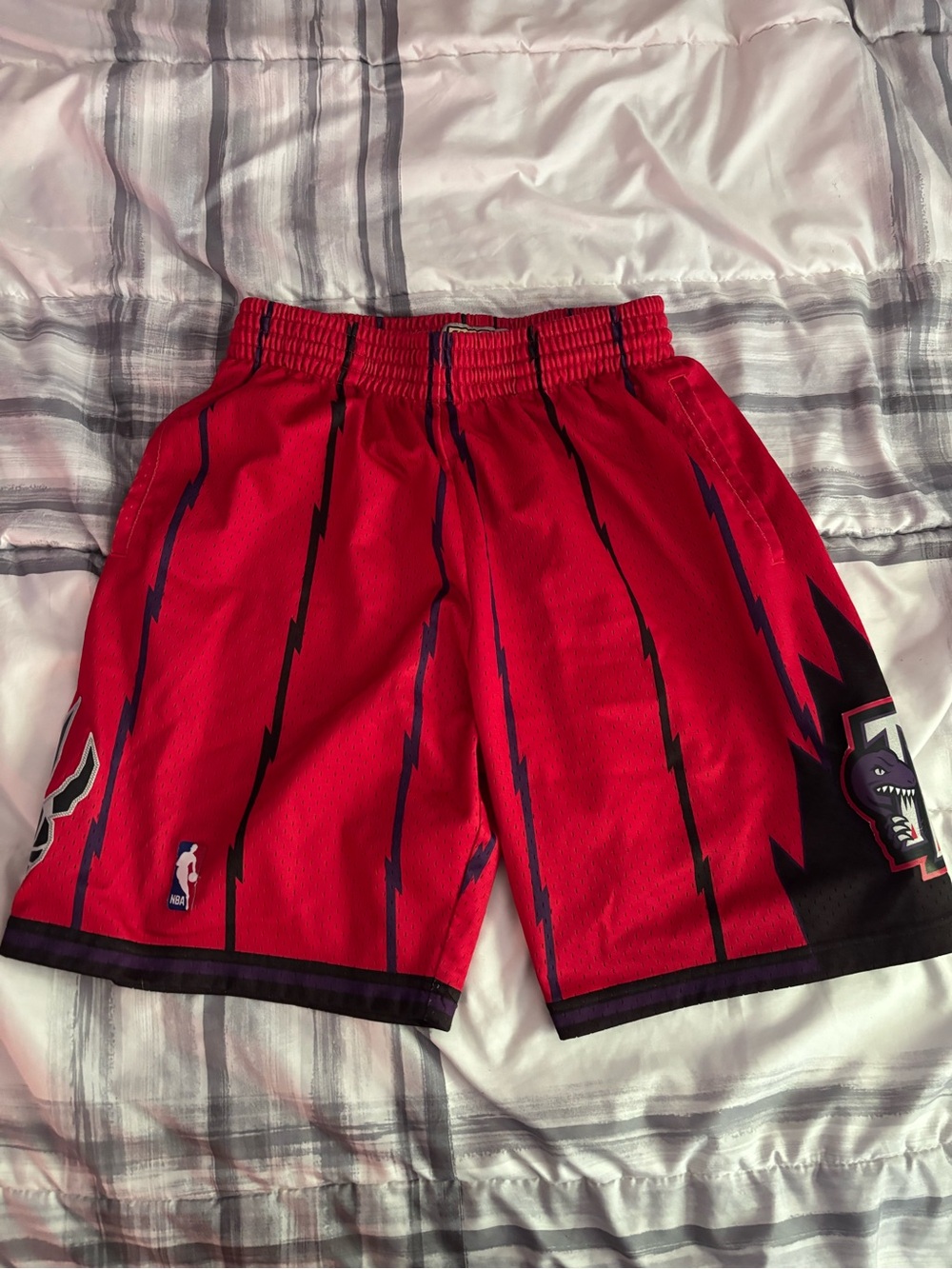Toronto Raptors Mitchell & Ness Swingman Shorts